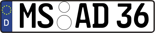 MS-AD36