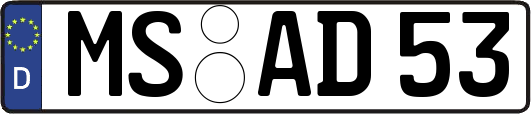 MS-AD53