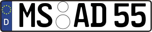 MS-AD55