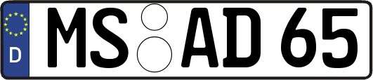 MS-AD65