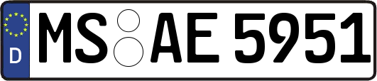 MS-AE5951