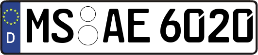 MS-AE6020