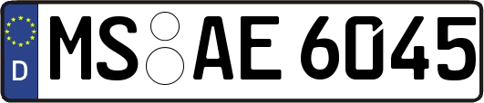 MS-AE6045