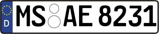 MS-AE8231
