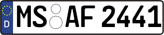 MS-AF2441