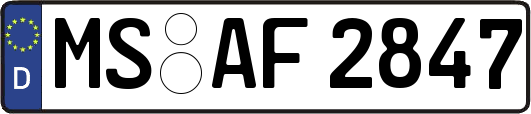 MS-AF2847