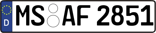 MS-AF2851