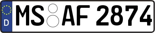 MS-AF2874