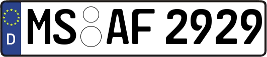 MS-AF2929