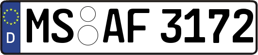 MS-AF3172