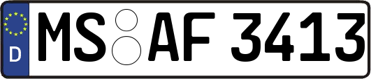 MS-AF3413
