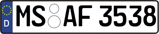 MS-AF3538