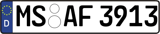 MS-AF3913