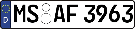 MS-AF3963