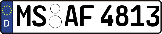 MS-AF4813