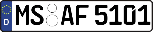 MS-AF5101