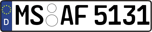 MS-AF5131