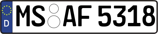 MS-AF5318