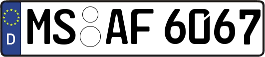 MS-AF6067