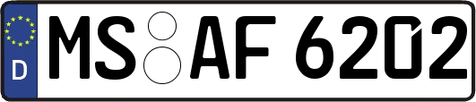 MS-AF6202