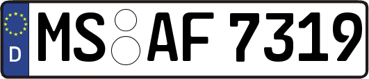 MS-AF7319