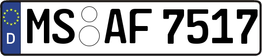 MS-AF7517