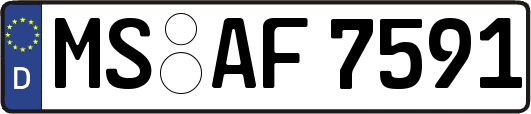 MS-AF7591