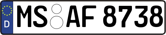 MS-AF8738
