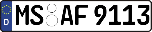 MS-AF9113