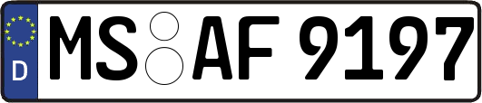 MS-AF9197