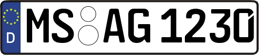 MS-AG1230