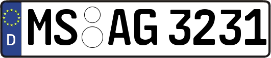 MS-AG3231