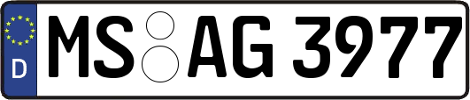 MS-AG3977