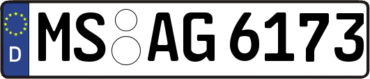 MS-AG6173