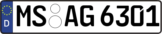 MS-AG6301