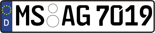 MS-AG7019