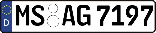 MS-AG7197