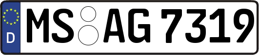 MS-AG7319