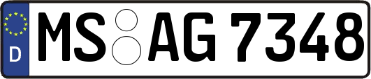 MS-AG7348