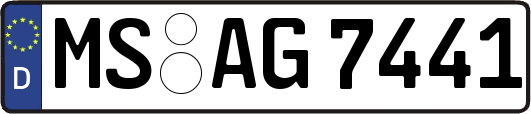 MS-AG7441