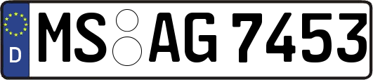 MS-AG7453