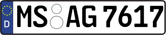 MS-AG7617
