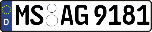 MS-AG9181