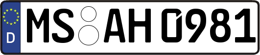 MS-AH0981