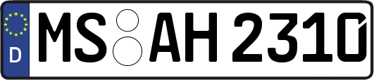 MS-AH2310