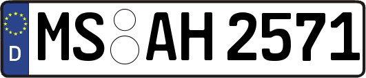 MS-AH2571