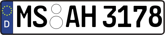 MS-AH3178