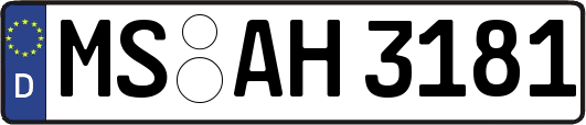 MS-AH3181