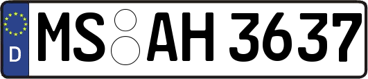MS-AH3637