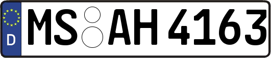 MS-AH4163